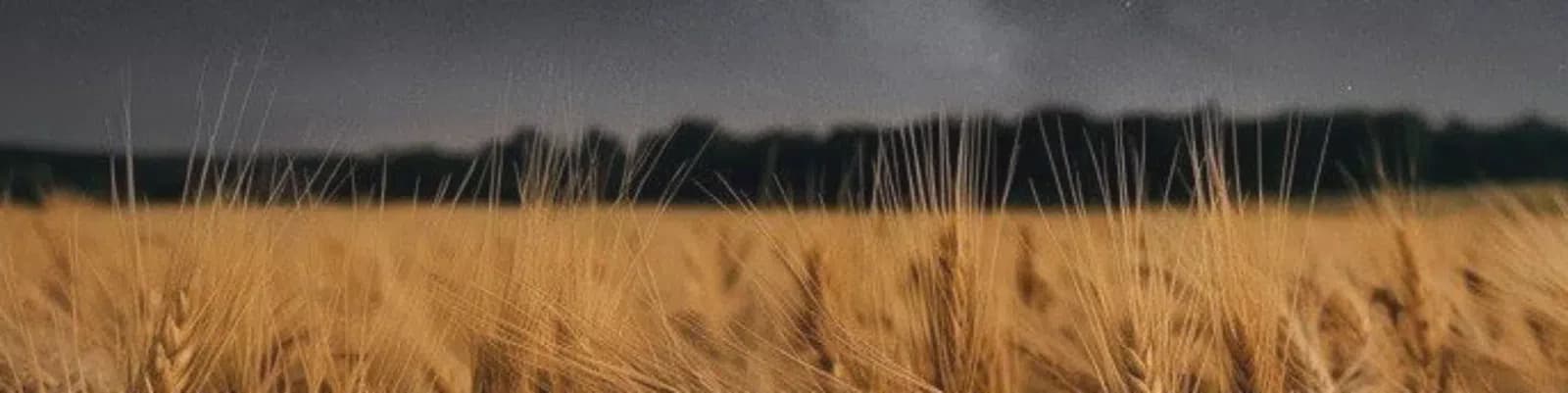 Stroy Servis — Алмазная резка, Алмазное бурение, Гипсокартонщик, Обшивка и утепление, Грузоперевозки